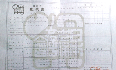 血統書
