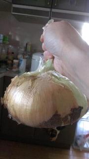 20130504.jpg