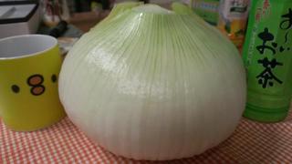 20130521.jpg