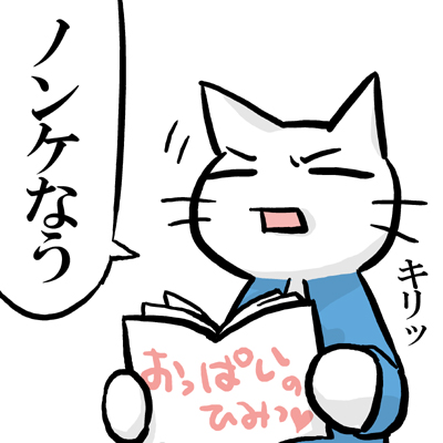 いさじねこ:ノンケなう