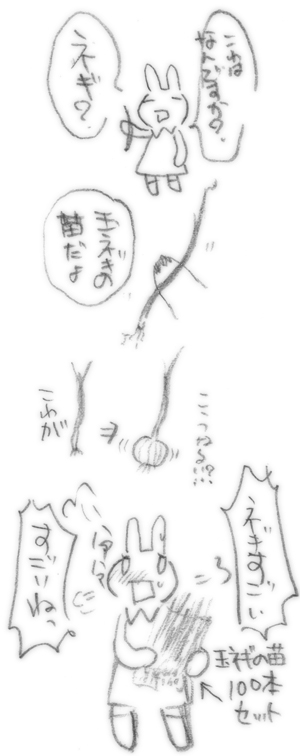 玉ネギはすごい!